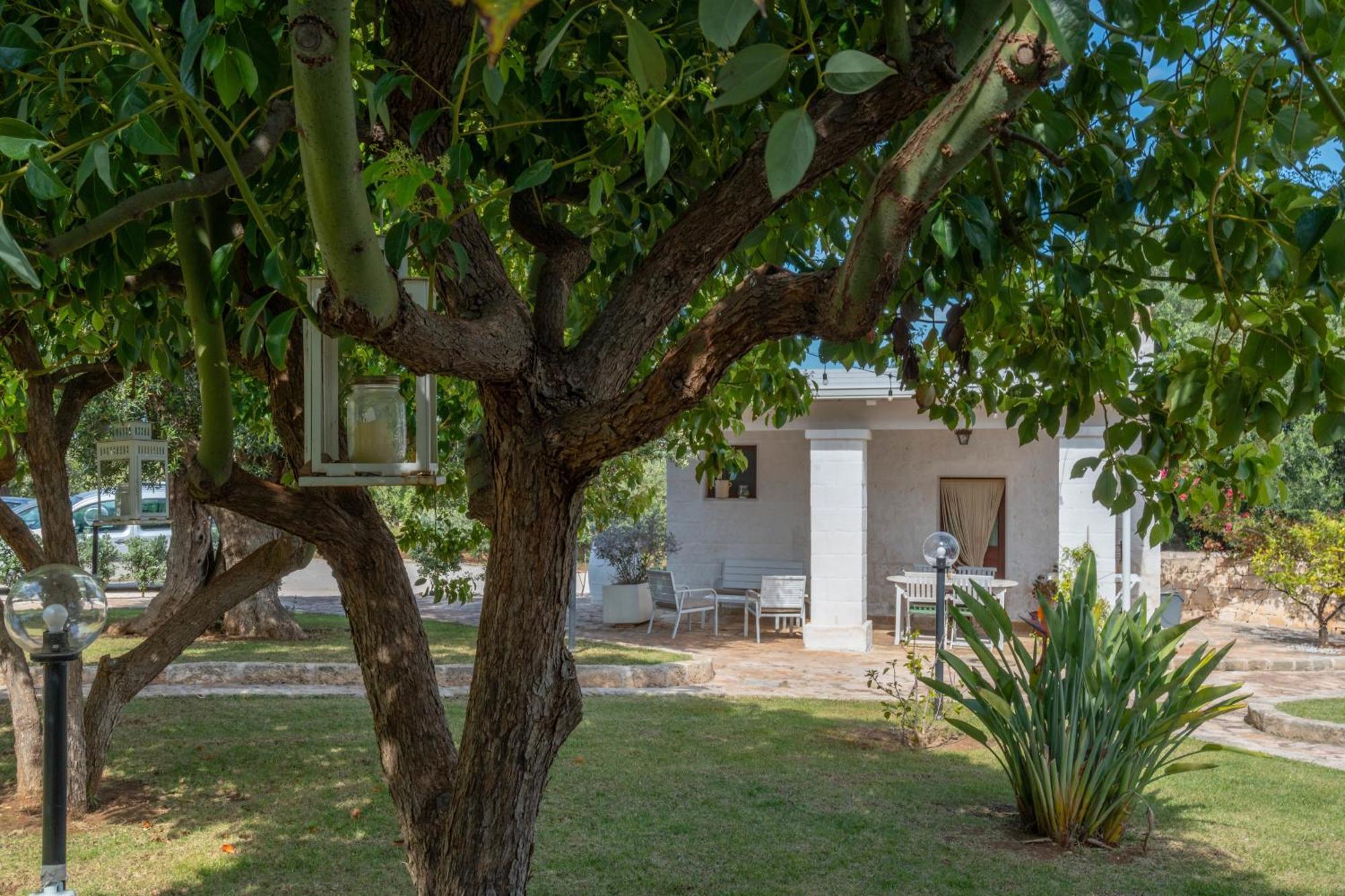 Dimora Tauro B&B Fasano Extérieur photo